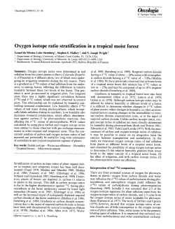 Oxygen isotope ratio stratification in a tropical moist forest