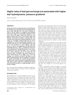 Higher rates of leaf gas exchange are associated with higher leaf