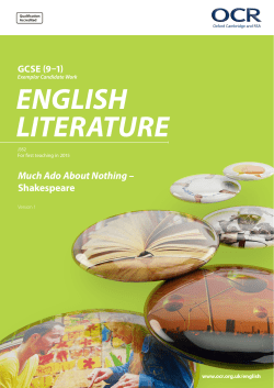 Much Ado About Nothing - Exemplar candidate work