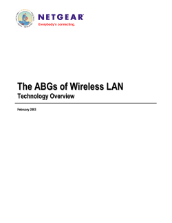 The ABGs of Wireless LAN Technology Overview