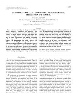 Invertebrate paraxial locomotory appendages
