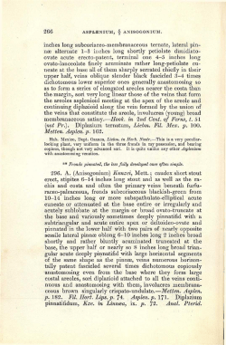 266 inches long subcoriaceo-membranaceous ternate, lateral pin