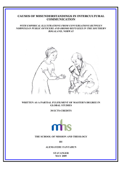 CAUSES OF MISUNDERSTANDINGS IN INTERCULTURAL