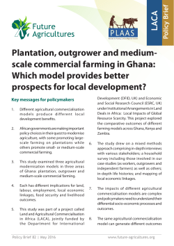 Plantation, outgrower and medium- scale commercial farming in