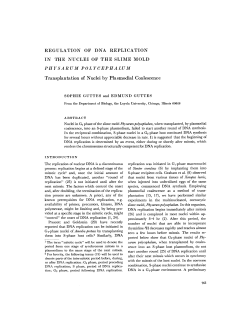 REGULATION OF DNA REPLICATION IN THE
