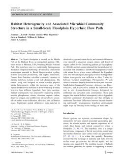 Habitat heterogeneity and associated microbial community structure