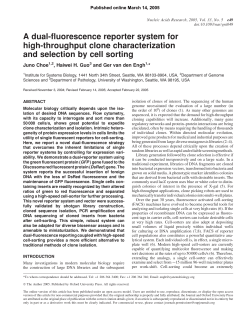 A dual-fluorescence reporter system for high