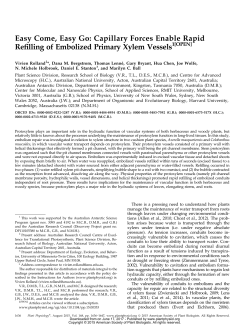 Easy Come, Easy Go: Capillary Forces Enable