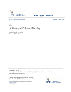 A Theory of Cultural Glocality - UNF Digital Commons
