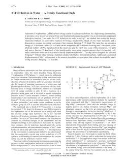 ATP Hydrolysis in Water &minus; A Density Functional Study