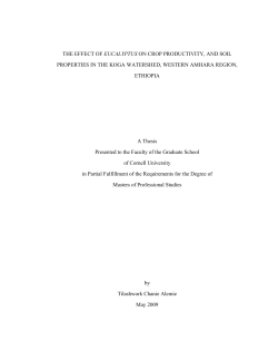 THE EFFECT OF EUCALYPTUS ON CROP PRODUCTIVITY, AND