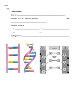DNA guided notes