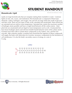 Biomolecule: Lipid