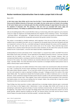 Press release Nuclear membrane (re)construction