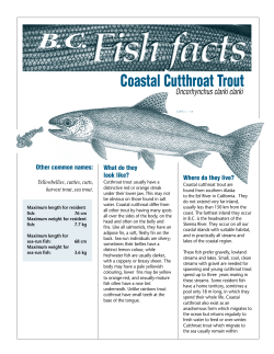 BC Fish Facts