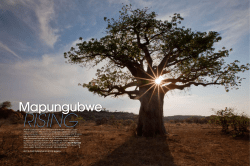 Mapungubwe - Year in the Wild