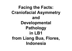 Facing the Facts: Craniofacial Asymmetry and