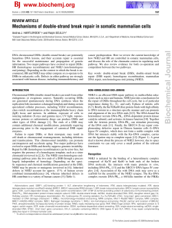 Biochemical Journal