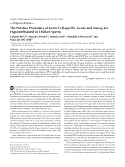 The Putative Promoters of Germ Cell-specific