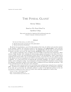 The Pineal Gland