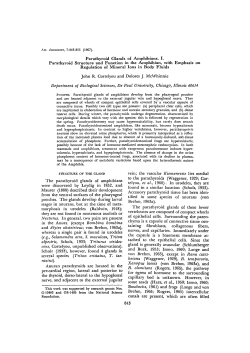 Parathyroid Glands of Amphibians. I. Parathyroid Structure and