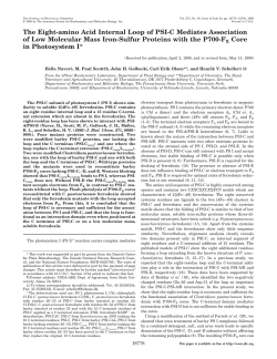 The Eight-amino Acid Internal Loop of PSI