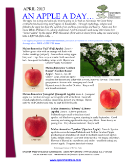 an apple a day&hellip; - Specimen Trees