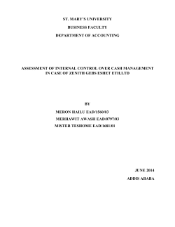 MERON HAILU - St. Mary`s University Institutional Repository