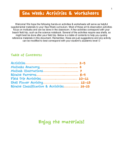 Mollusk Activities Worksheet