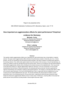 How important are agglomeration effects for plant performance?