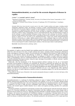 Immunohistochemistry as a tool for the accurate diagnosis of
