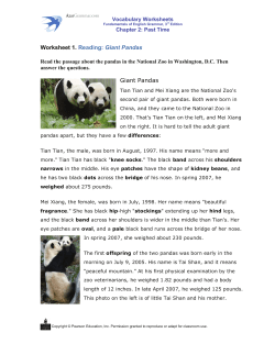 Giant Pandas - AzarGrammar.com