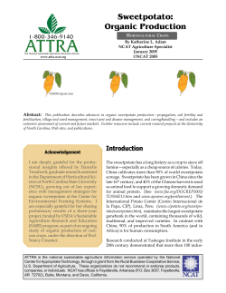 Sweetpotato: Organic Production - ATTRA