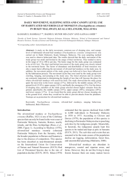 DAILY MOVEMENT, SLEEPING SITES AND CANOPY LEVEL USE
