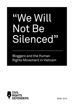 Bloggers and the Human Rights Movement in Vietnam