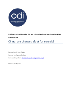 ODI Shockwatch - China: are changes afoot for cereals