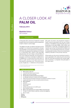 A CLOSER LOOK AT PALM OIL
