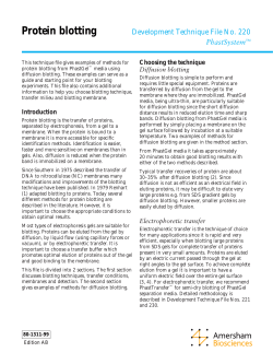 Protein blotting - GE Healthcare Life Sciences