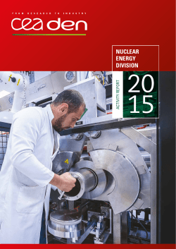 CEA Nuclear energy division