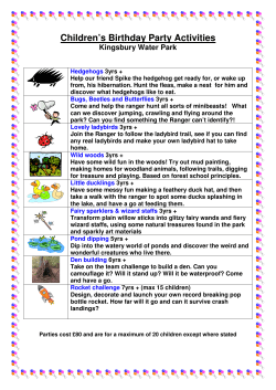 Children`s Birthday Party Activities