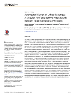 Maldonado et al 2015Lithistids