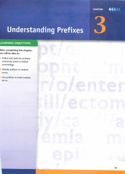 derstanding Prefixes - Fullfrontalanatomy.com