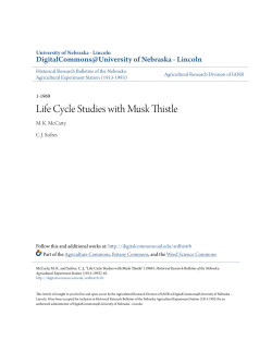 Life Cycle Studies with Musk Thistle