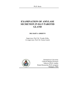EXAMINATION OF AMYLASE SECRETION IN RAT PAROTID GLAND