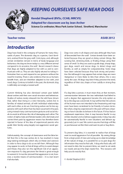 KEEPING OURSELVES SAFE NEAR DOGS Introduction