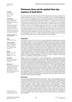 Pleistocene Homo and the updated Stone Age sequence of South