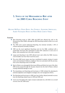 5. status of the mesoamerican reef after the 2005