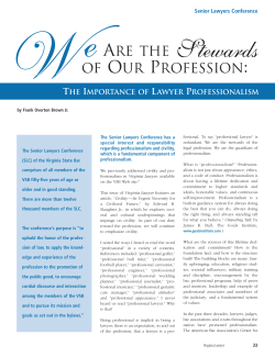 The Importance of Lawyer Professionalism