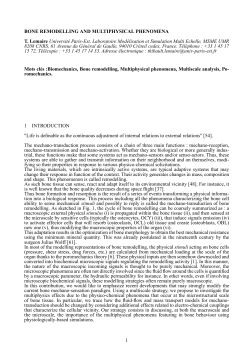 BONE REMODELLING AND MULTIPHYSICAL PHENOMENA T