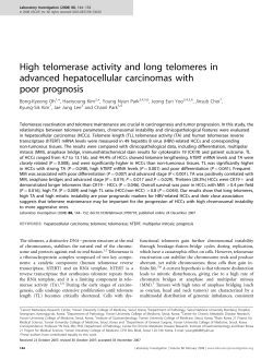 High telomerase activity and long telomeres in advanced